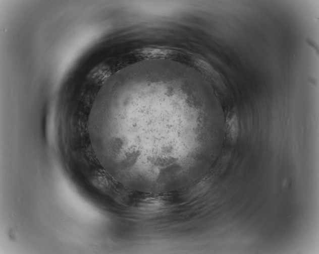 X0000103250381200808281509