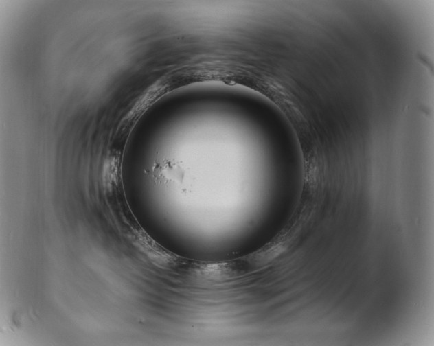 X0000103250382200808281509
