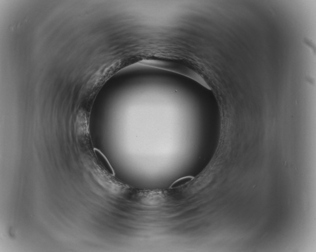 X0000103250384200808281509