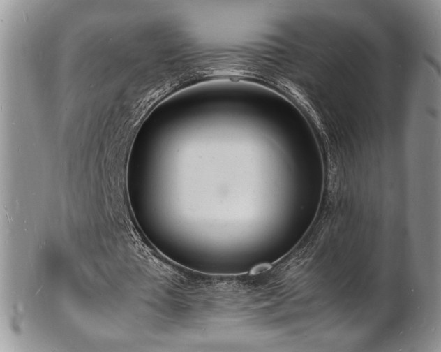 X0000103250385200808281508