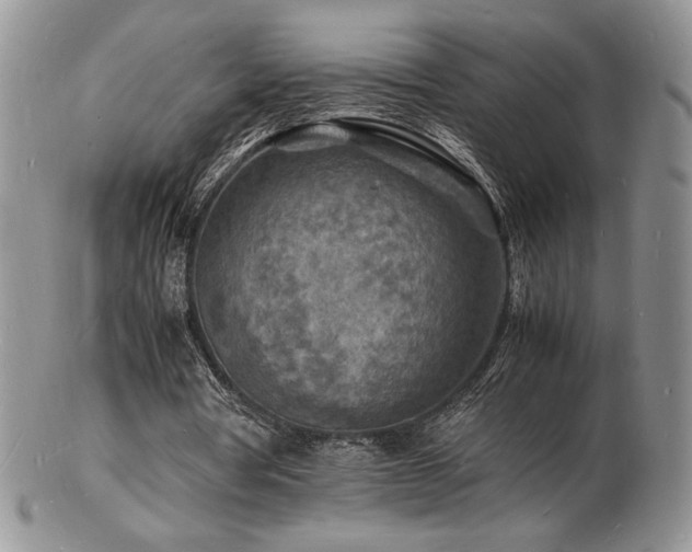X0000103250386200808281508