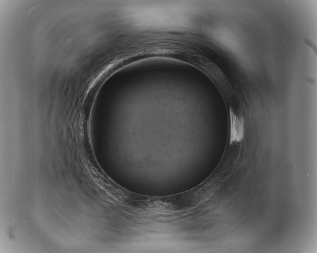 X0000103250387200808281508