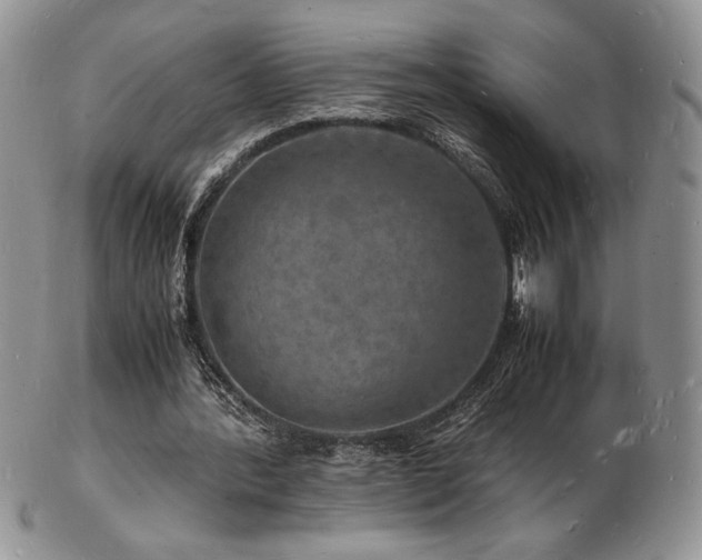 X0000103250388200808281508