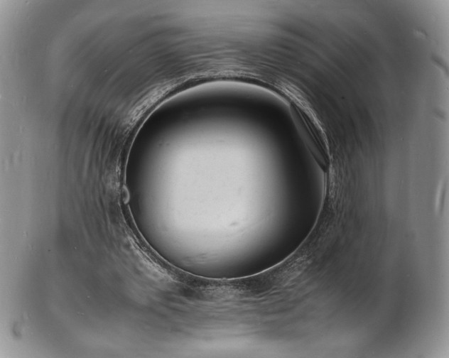 X0000103250389200808281508