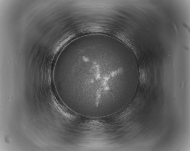 X0000103250390200808281508
