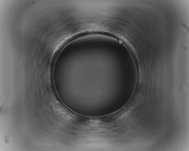 X0000103250391200808281508