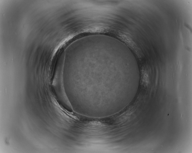 X0000103250392200808281508