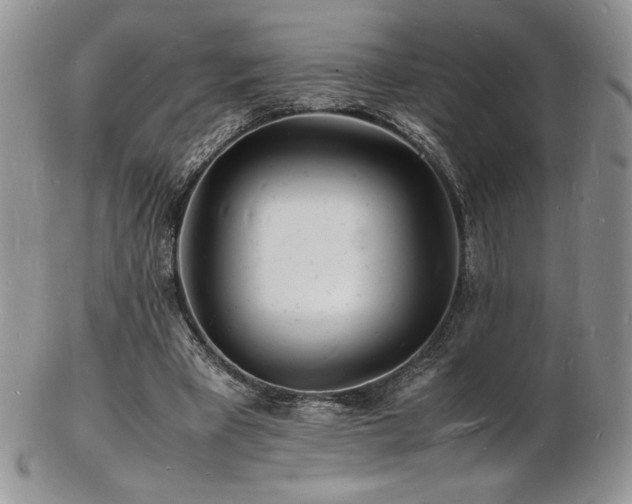 X0000103250393200808281508