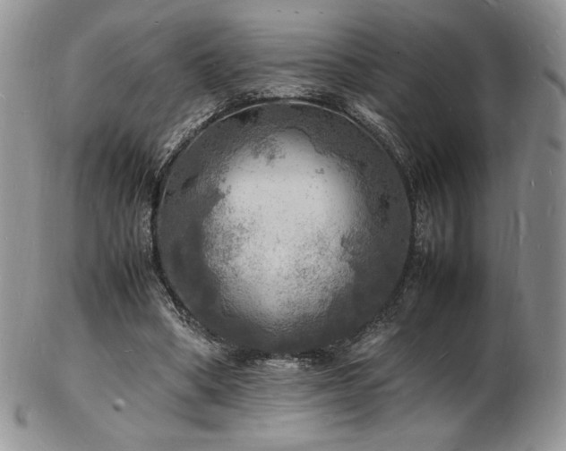 X0000103250394200808281508