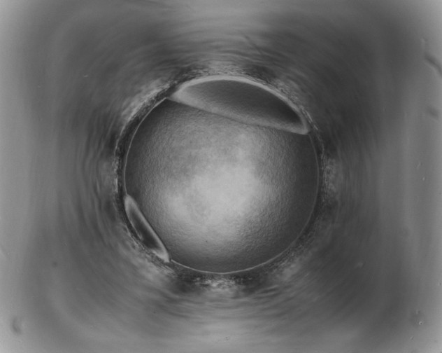 X0000103250395200808281508