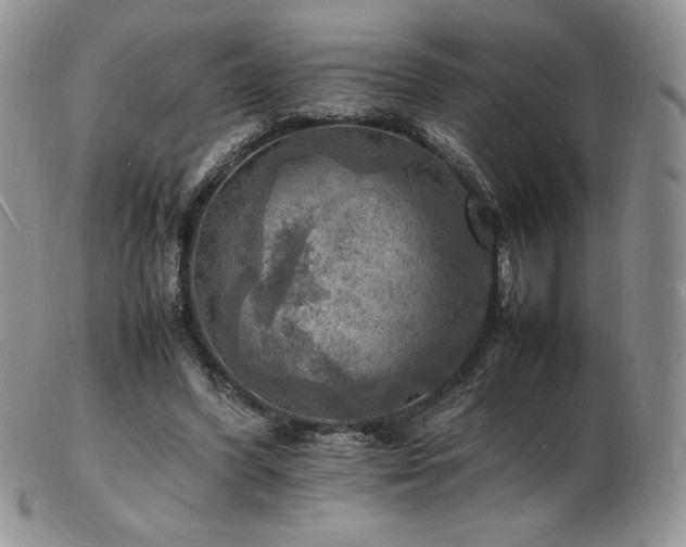 X0000103250396200808281508