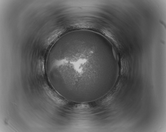 X0000103250398200808281508