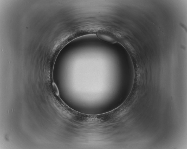 X0000103250399200808281508