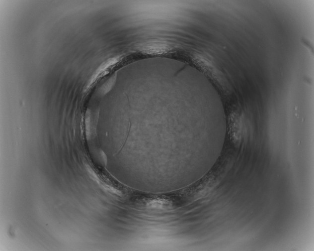 X0000103250400200808281508