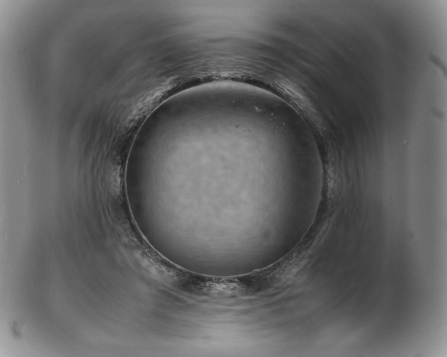 X0000103250401200808281508