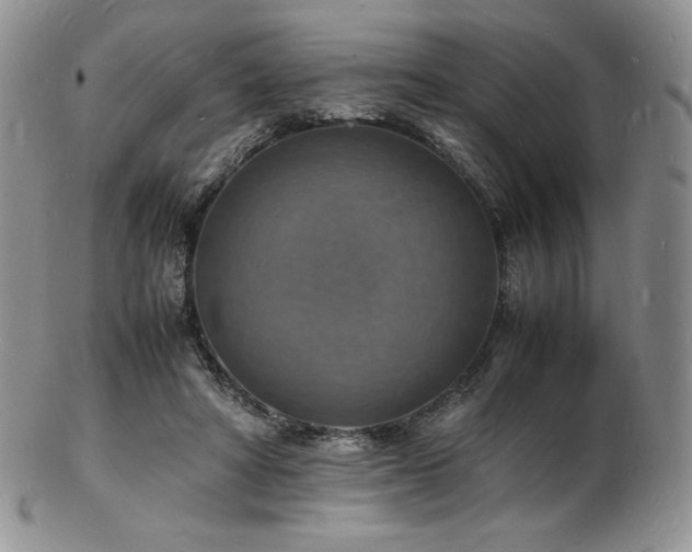 X0000103250402200808281508