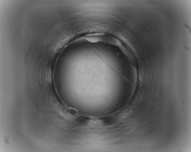 X0000103250403200808281508