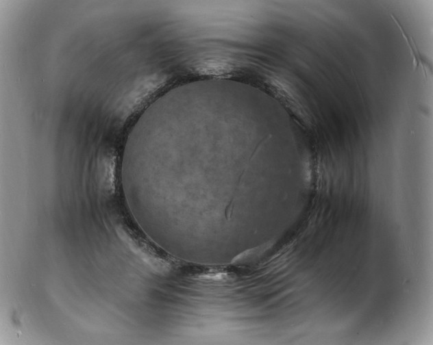 X0000103250404200808281508