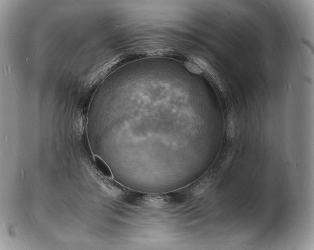 X0000103250405200808281508