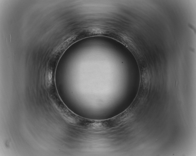 X0000103250406200808281508
