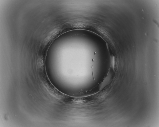 X0000103250407200808281508