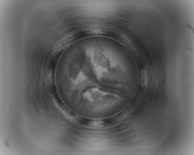 X0000103250410200808281508