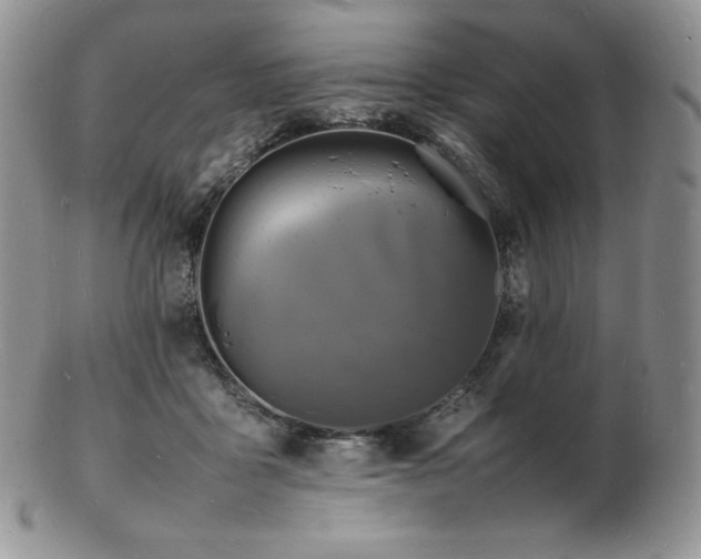 X0000103250411200808281508