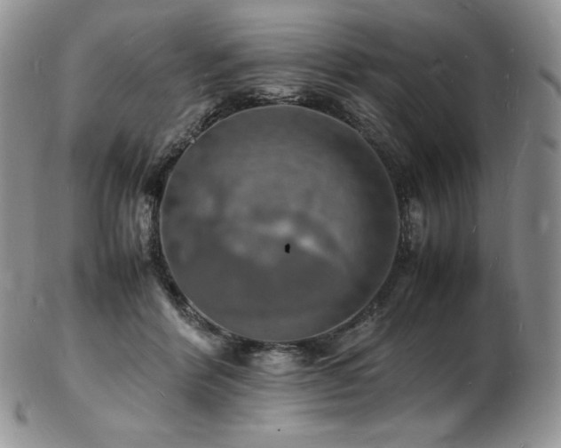 X0000103250412200808281508