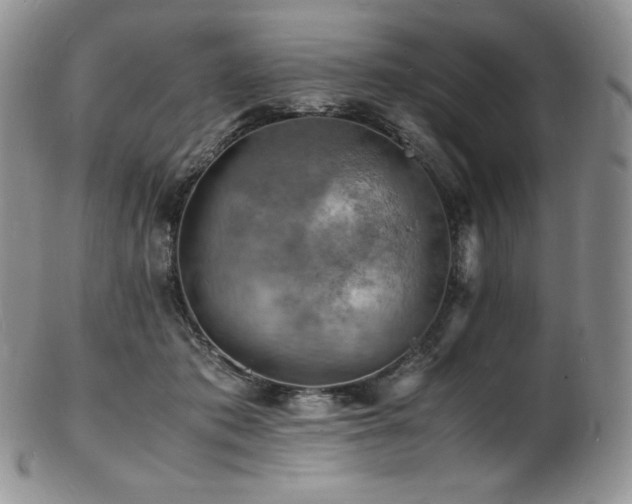 X0000103250413200808281508