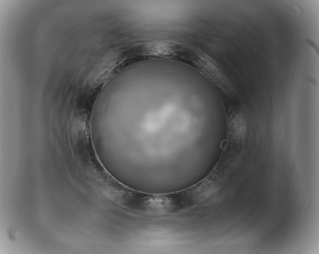 X0000103250415200808281508