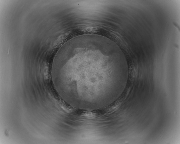X0000103250416200808281508
