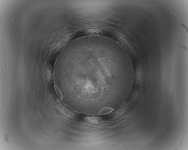 X0000103250417200808281508