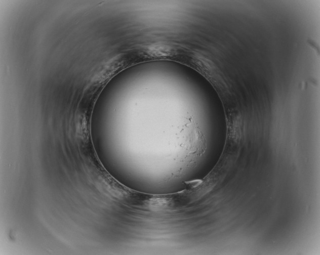 X0000103250418200808281508