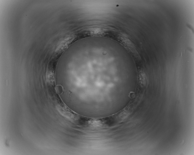 X0000103250419200808281508