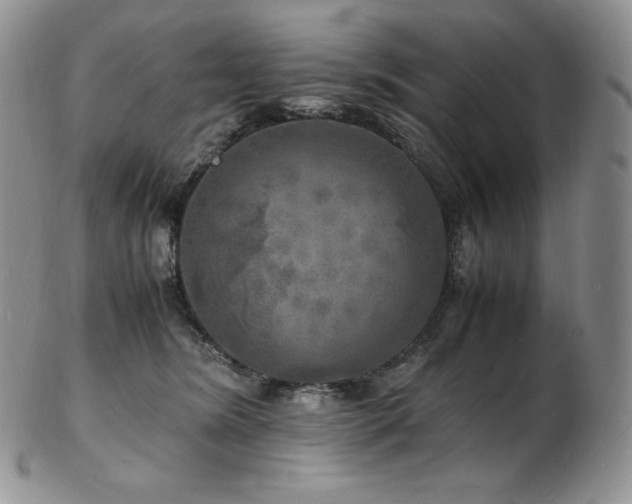 X0000103250420200808281508