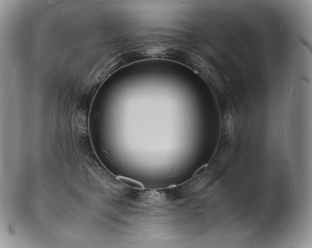 X0000103250421200808281508