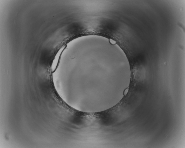 X0000103250423200808281508