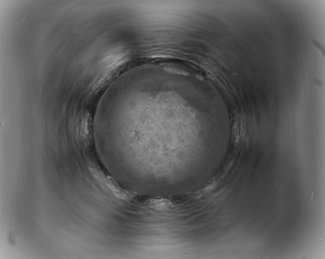 X0000103250424200808281508