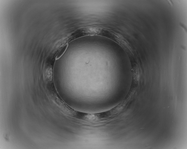 X0000103250425200808281508