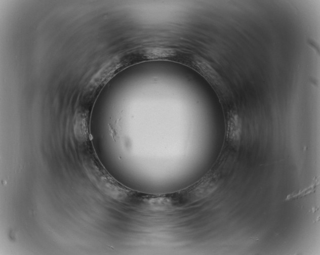 X0000103250426200808281508