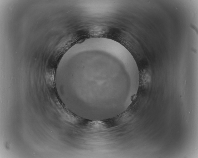 X0000103250427200808281508