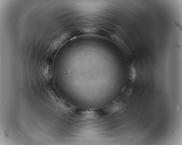 X0000103250428200808281508