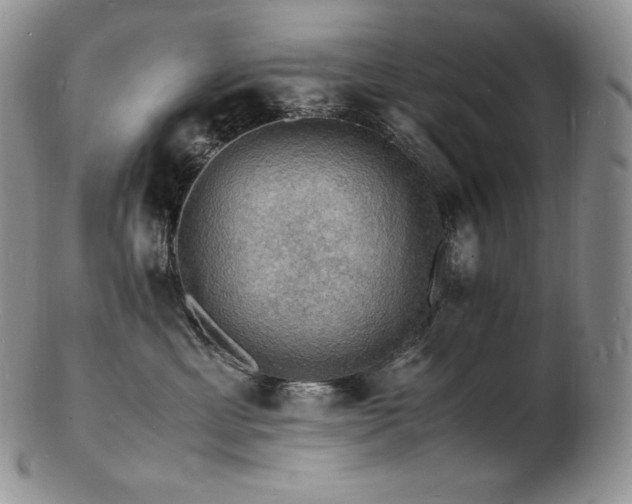 X0000103250429200808281508