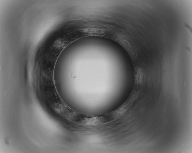X0000103250430200808281508