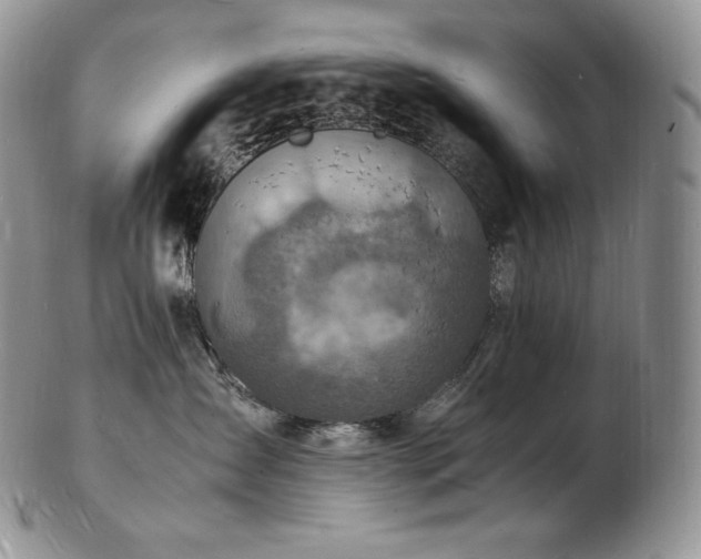 X0000103250431200808281508