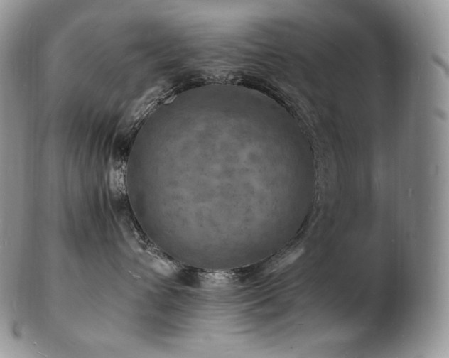 X0000103250432200808281508