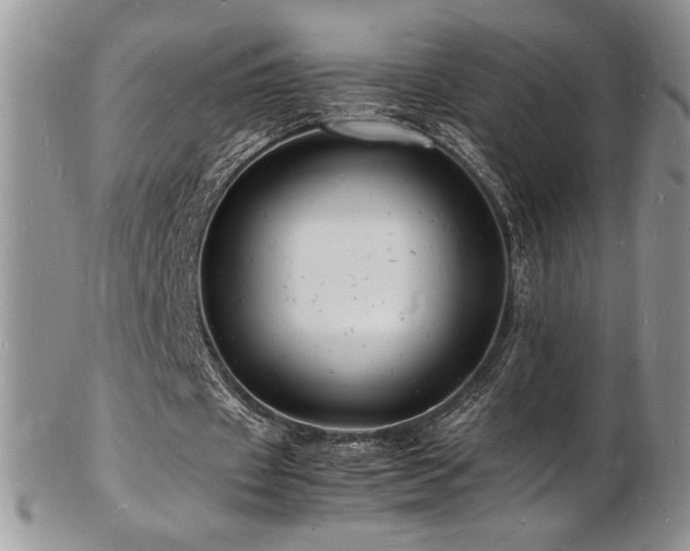X0000103250433200808281507