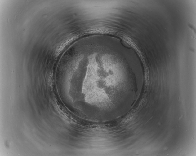 X0000103250434200808281507