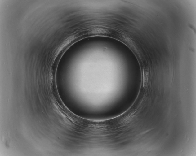 X0000103250435200808281507