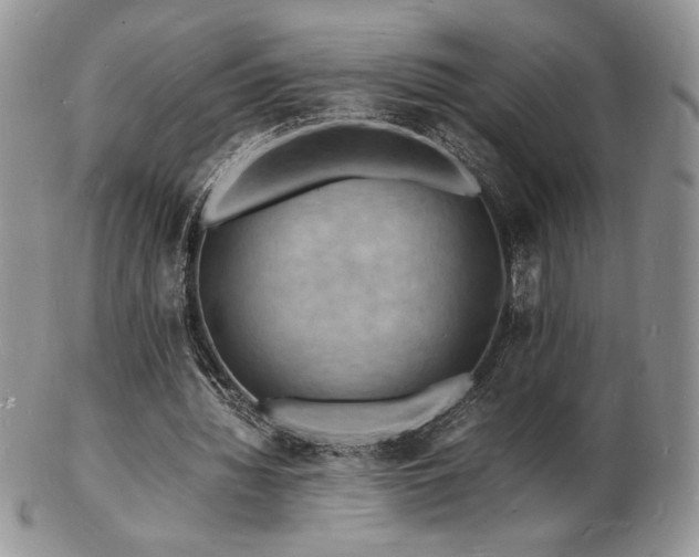 X0000103250436200808281507